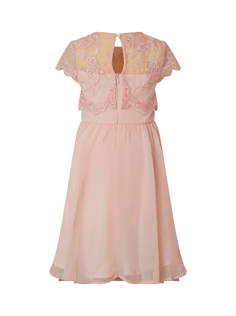 Plus Size Lace Bodice Chiffon Dress in Pink
