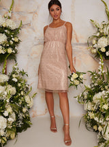 Sequin Cami Style Midi Dress In Champagne