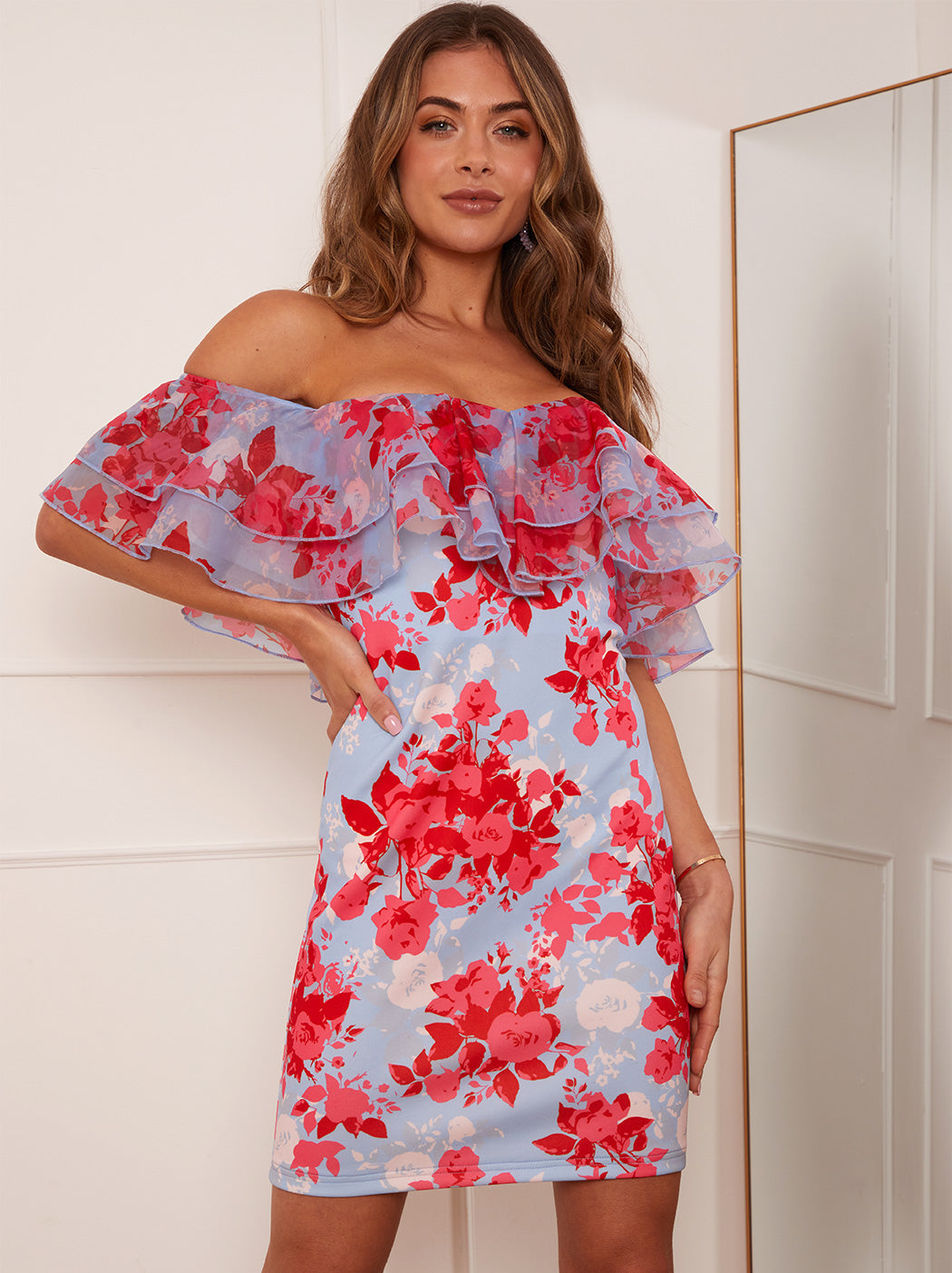 Organza Ruffle Floral Print Bodycon Mini Dress in Blue