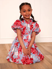 Girls Puff Sleeve Floral Mini Shirt Dress in Blue