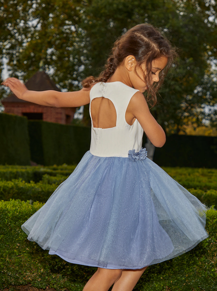 Girls Contrast 3D Floral Tutu Dress in Blue