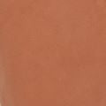 debenhams_swatch