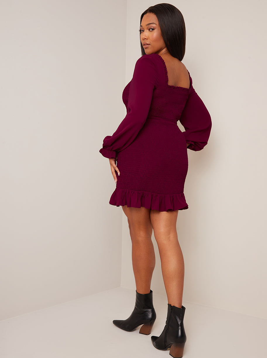 Long Sleeve Shirred Mini Dress in Wine