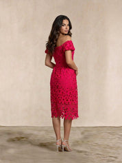Bardot Premium Lace Fit and Flare Midi Dress in Hot Pink