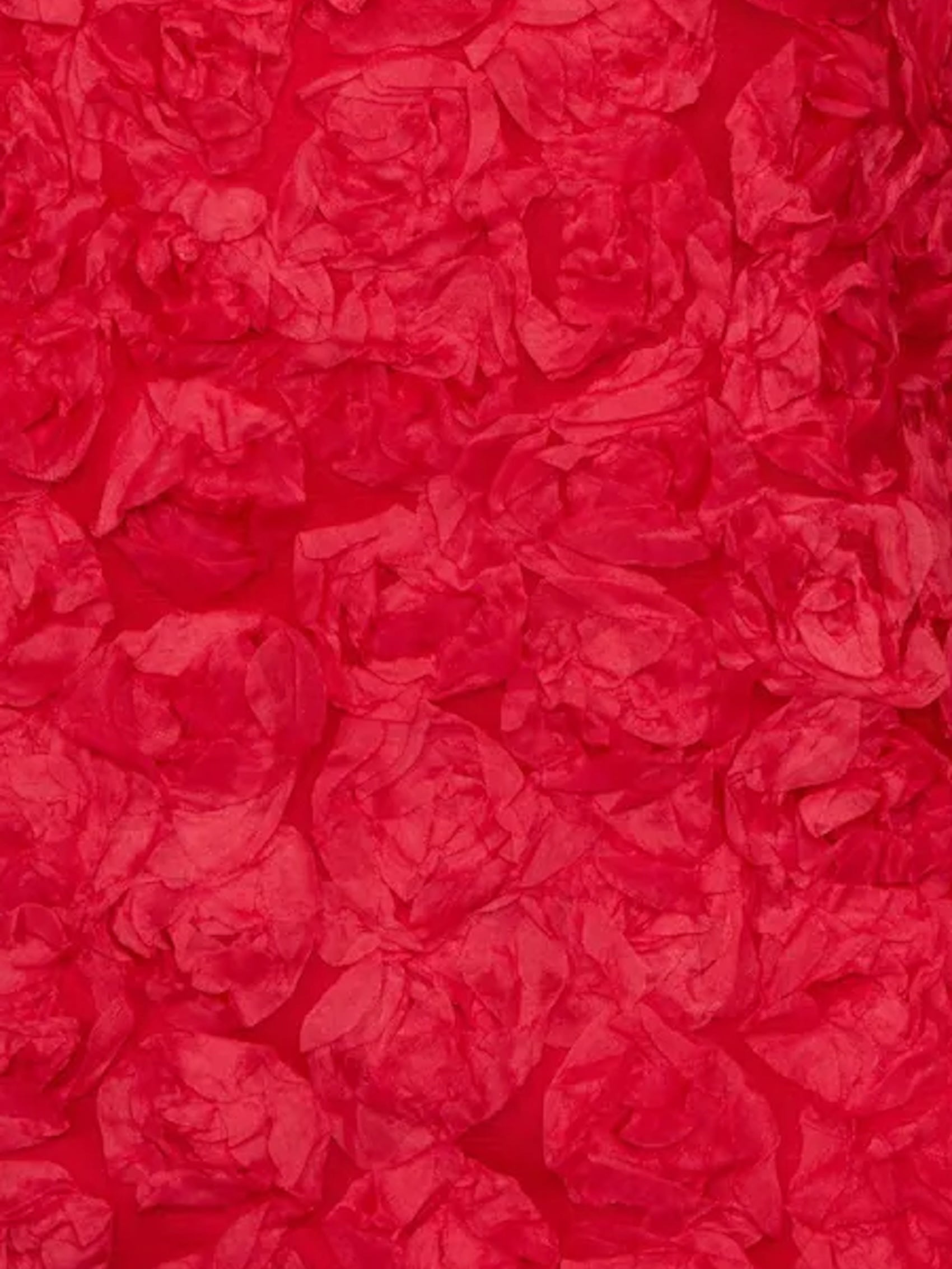 3D Floral Mini Dress in Red