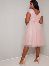Plus Size Lace Bodice Tulle Midi Dress in Pink