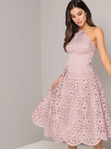 Tall Lace Overlay Scalloped Midi Dress in Mink