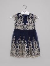 Girls Embroidered Lace Tulle Party Dress in Blue