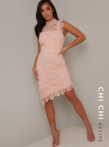 Petite Lace Crochet Bodycon Dress in Rose Gold