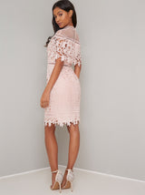 Cap Sleeved Premium Lace Bodycon Midi Dress in Pink