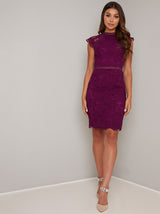 Short Sleeved Lace Bodycon Midi Dress in Purple