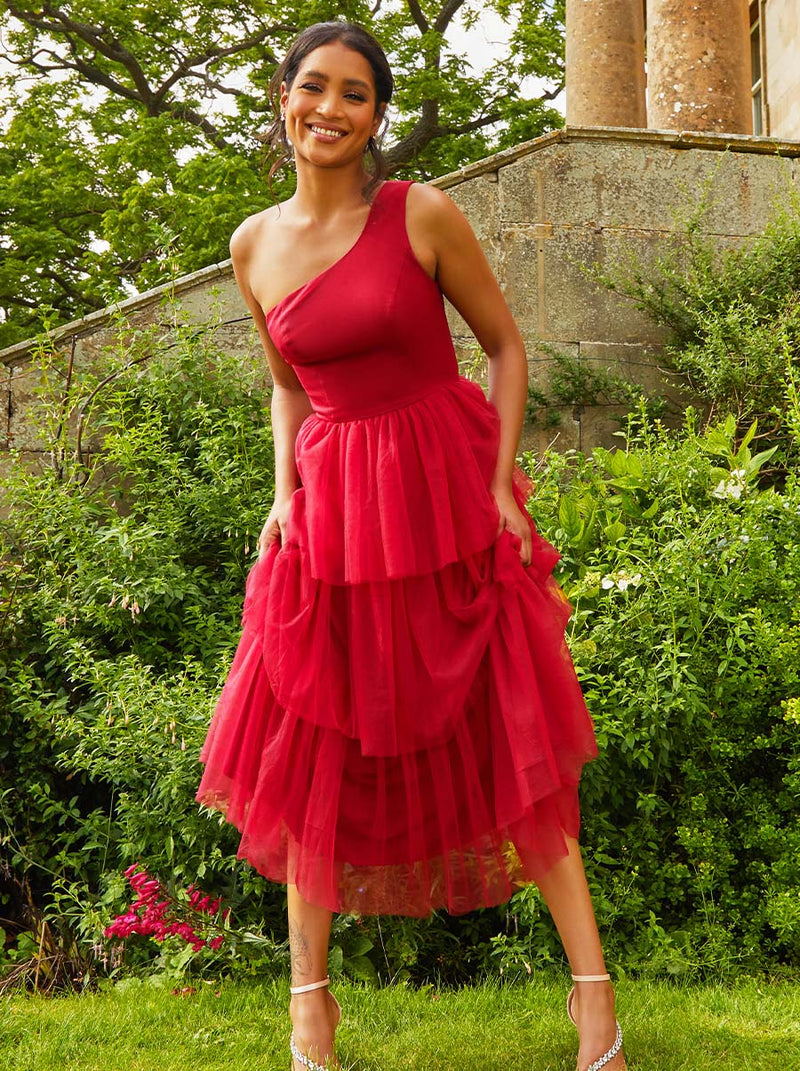 Love That Lasts Velvet Heart Tulle Mini Dress (Red)