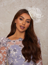 Mesh Detail Feather Fascinator in White