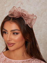Feather Detail Fascinator in Pink