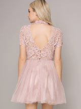 Petite High Neck Lace Tulle Mini Dress in Pink